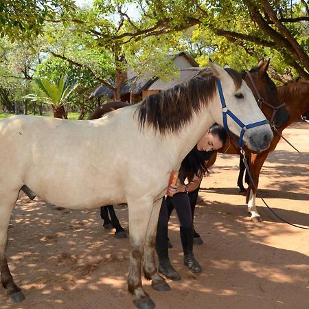 フッドスプルイト Wild Ride Safaris And Bush Campヴィラ エクステリア 写真