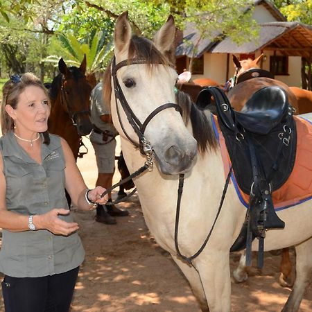 フッドスプルイト Wild Ride Safaris And Bush Campヴィラ エクステリア 写真