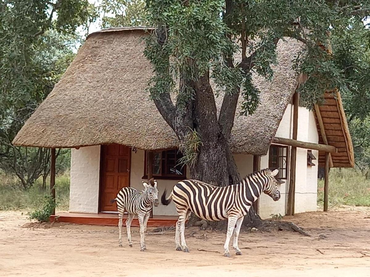 フッドスプルイト Wild Ride Safaris And Bush Campヴィラ エクステリア 写真