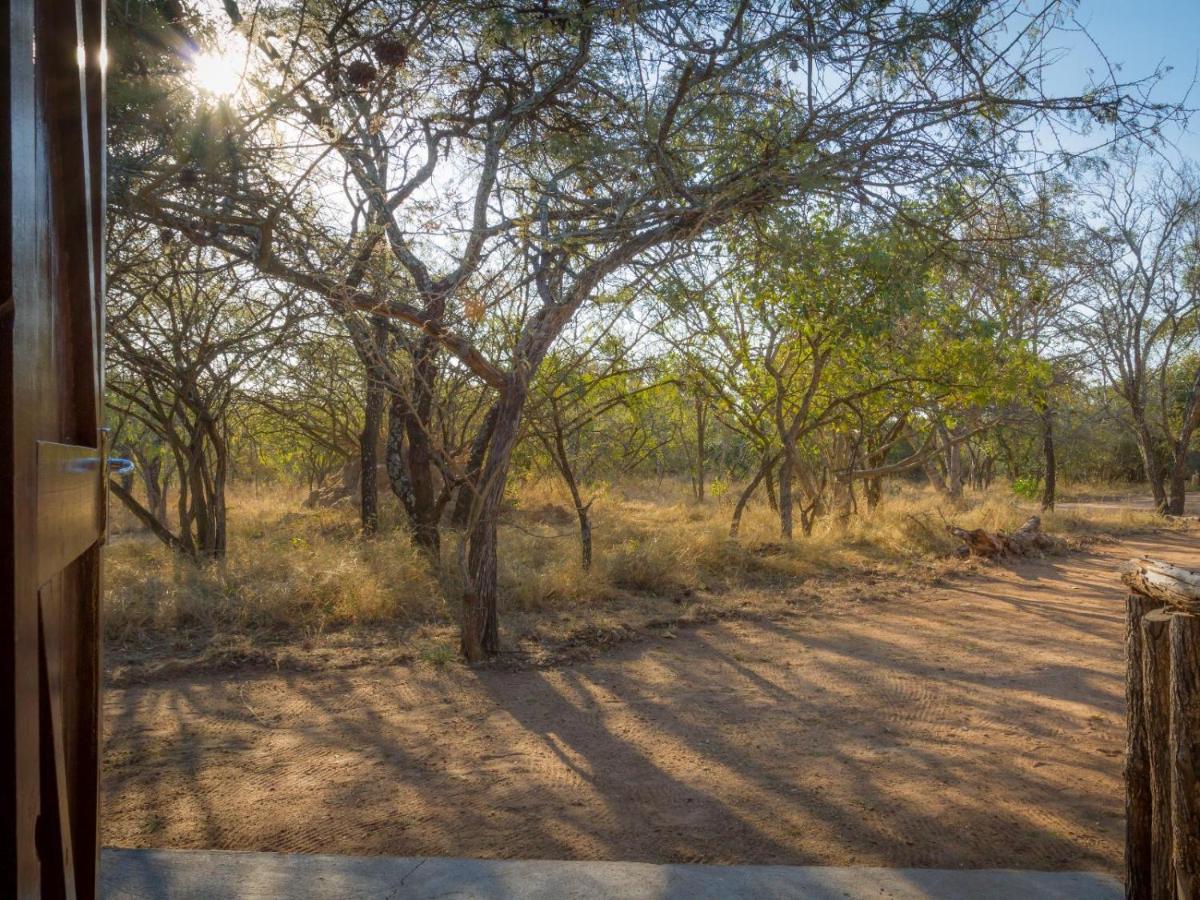 フッドスプルイト Wild Ride Safaris And Bush Campヴィラ エクステリア 写真
