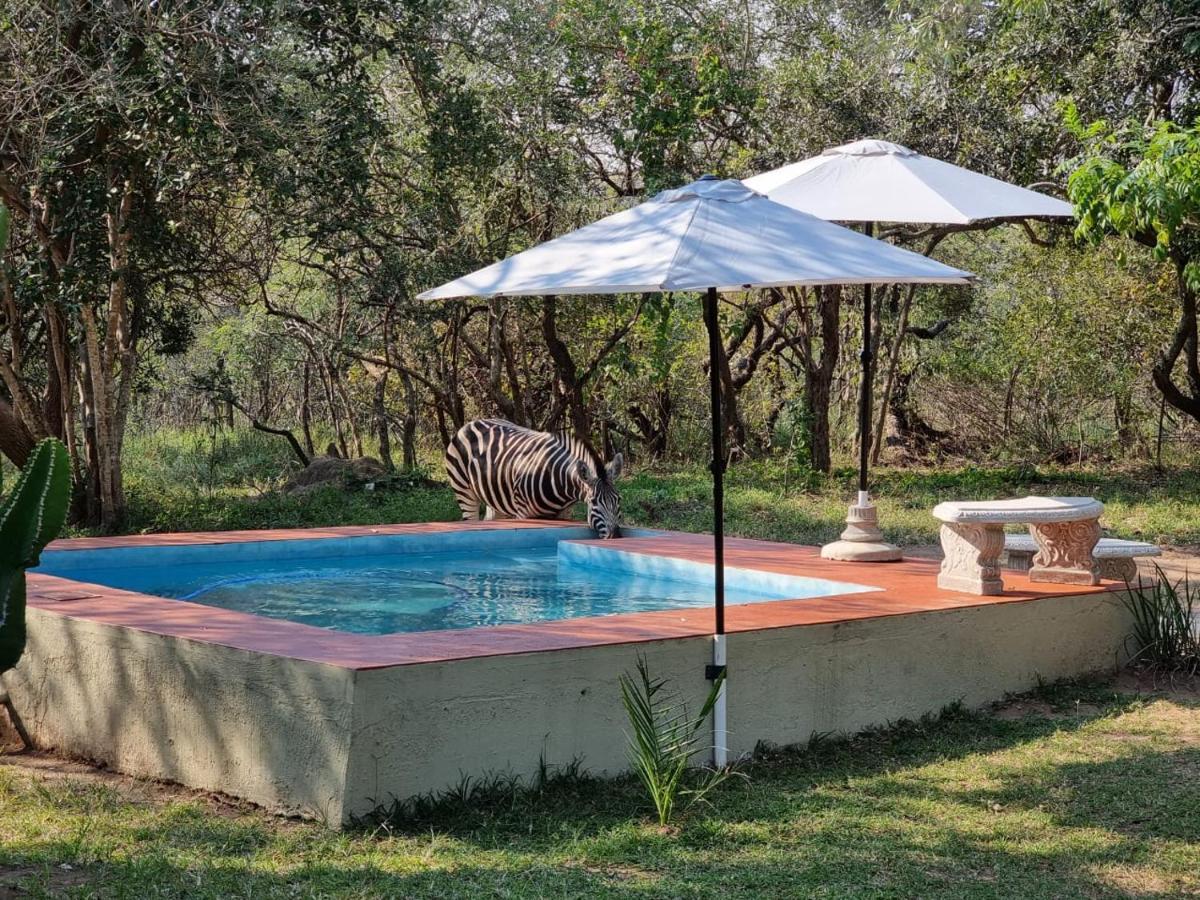 フッドスプルイト Wild Ride Safaris And Bush Campヴィラ エクステリア 写真