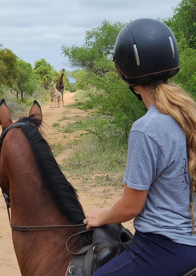 フッドスプルイト Wild Ride Safaris And Bush Campヴィラ エクステリア 写真