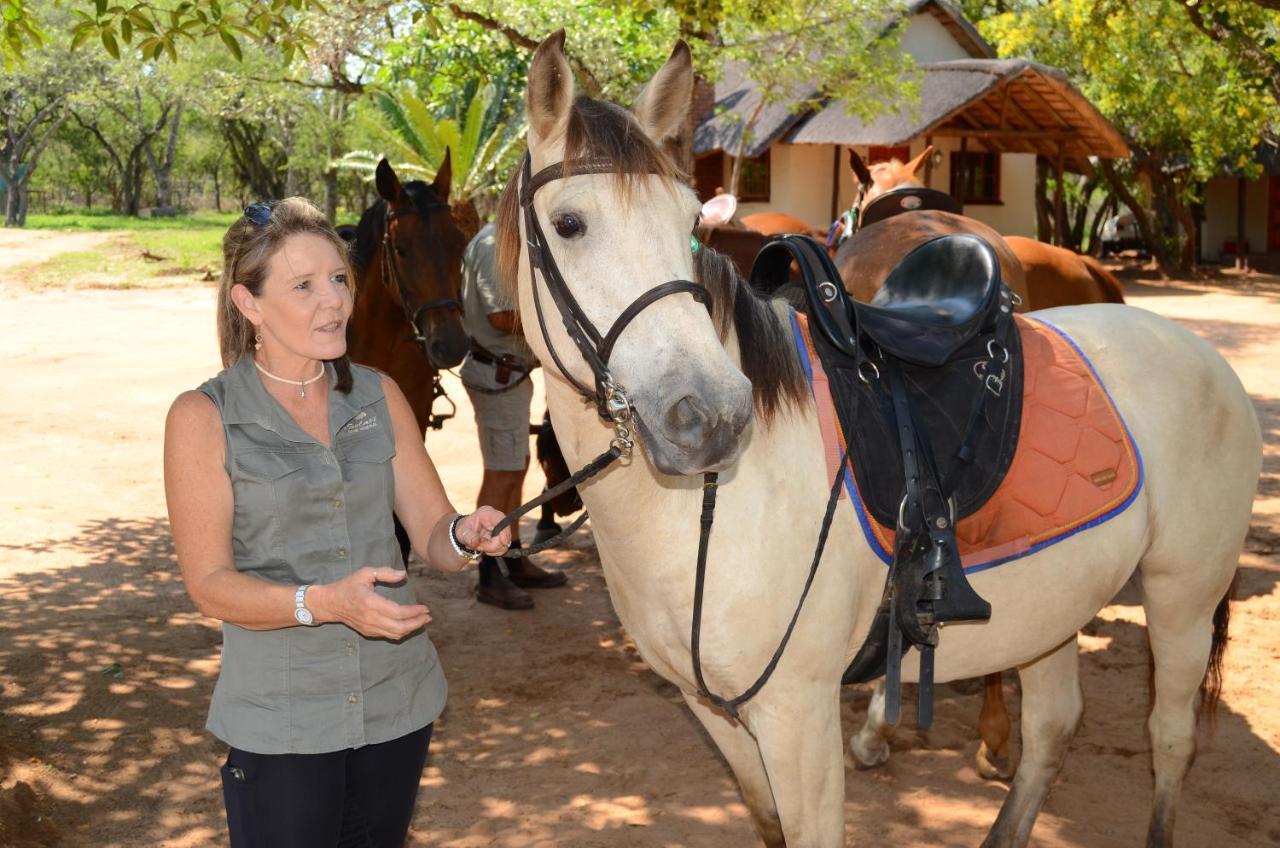 フッドスプルイト Wild Ride Safaris And Bush Campヴィラ エクステリア 写真